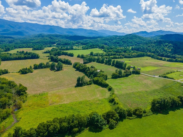 0 Holders Grove Rd, Cosby, TN 37722