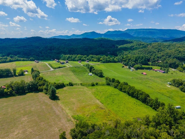 0 Holders Grove Rd, Cosby, TN 37722