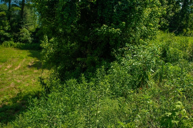0 Holders Grove Rd, Cosby, TN 37722