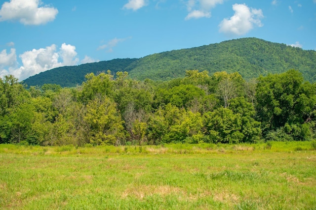 0 Holders Grove Rd, Cosby, TN 37722