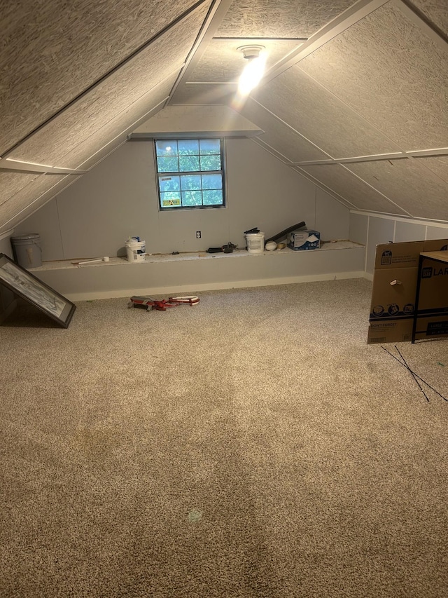 370 Alpine Rd, Camden, TN 38320 - bonus room featuring lofted ceiling, carpet, and a textured ceiling