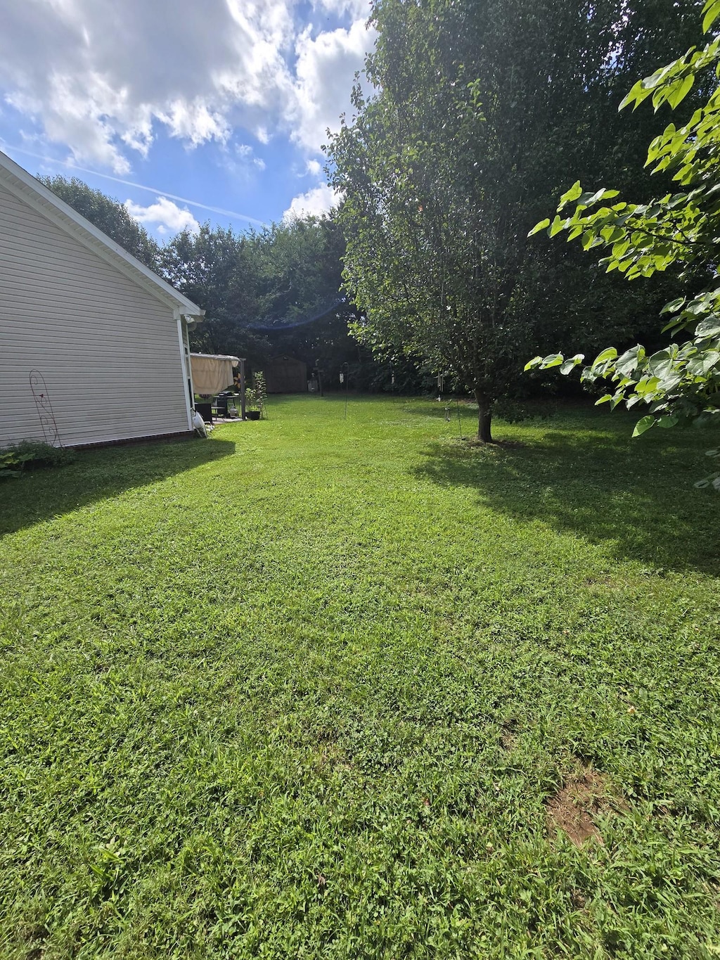 3505 Flora Dr, Spring Hill, TN 37174 - view of green lawn