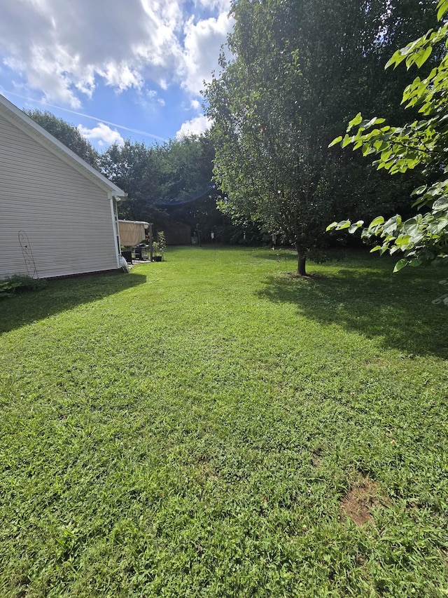 3505 Flora Dr, Spring Hill, TN 37174 - view of green lawn