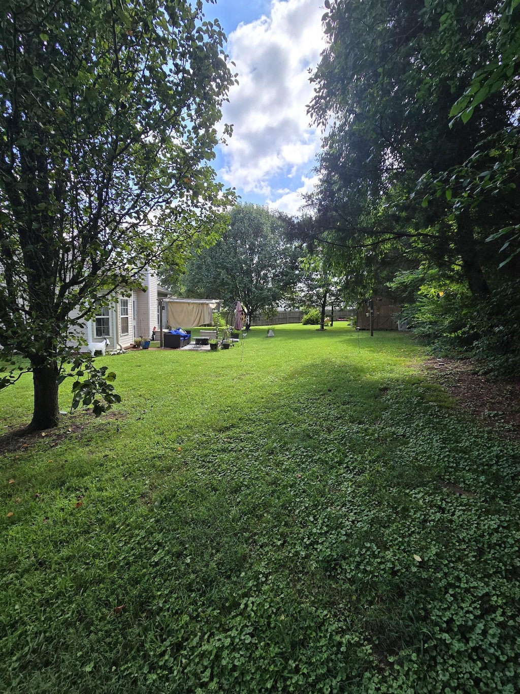 3505 Flora Dr, Spring Hill, TN 37174 - view of grassy yard