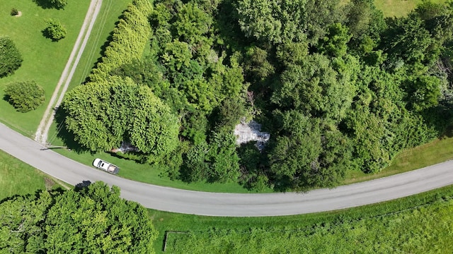 384 Underwood Rd, Lafayette, TN 37083 - photo 8