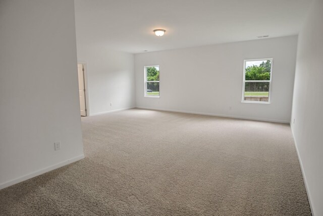 225 Summerlin Dr, Gallatin, TN 37066 - photo 22