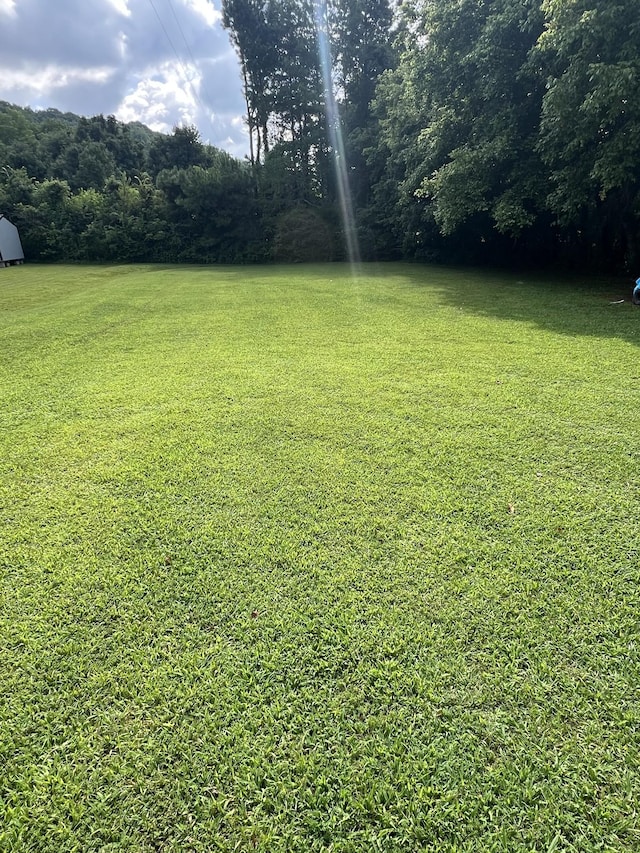 256 Drew Dr, Pulaski, TN 38478 - photo 26