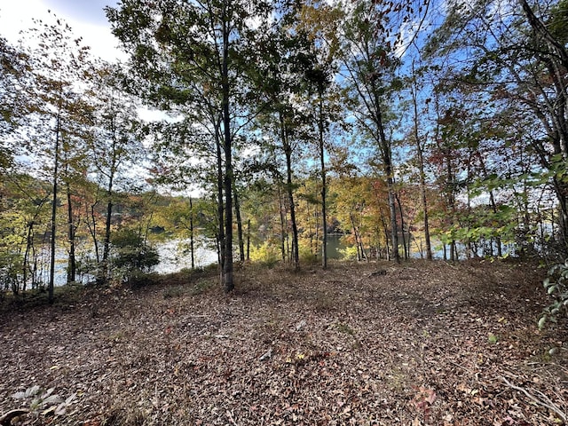 167 Pollywog Run, Sewanee, TN 37375