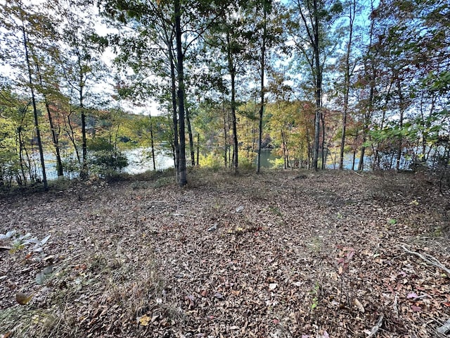 167 Pollywog Run, Sewanee, TN 37375