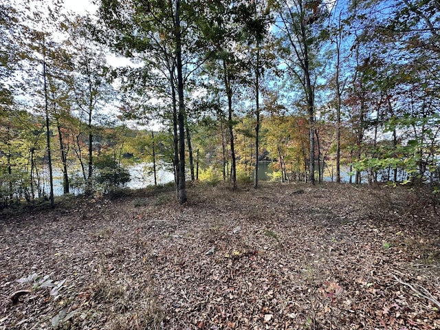 167 Pollywog Run, Sewanee, TN 37375