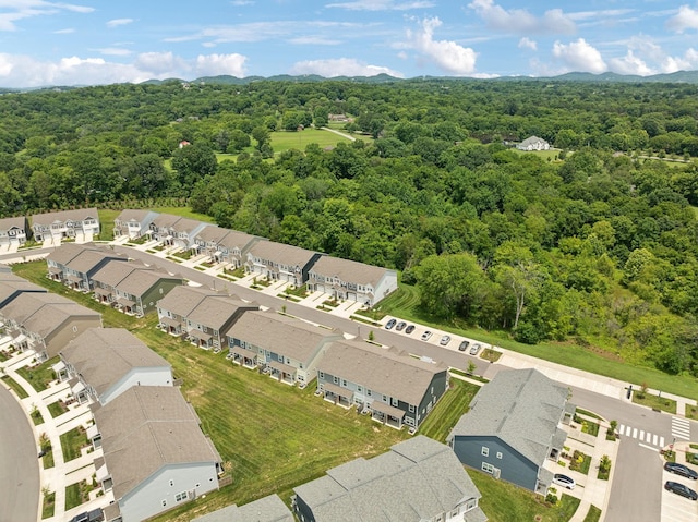 1073 Sweetleaf Dr, Franklin, TN 37064 - photo 49