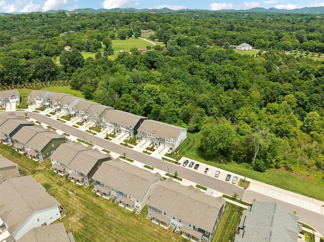 7036 Gracious Dr, Franklin, TN 37064 - photo 57