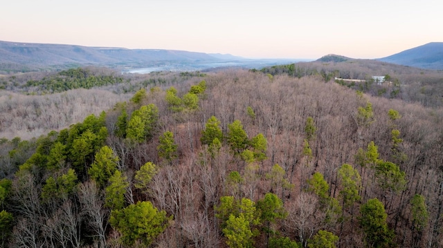 0 Hog Jowl Rd, Chickamauga, GA 30707
