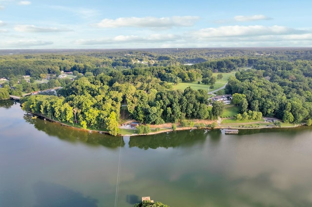 627 Eastbrook Rd, Estill Springs, TN 37330 - aerial view of property's location with a forest and a large body of water