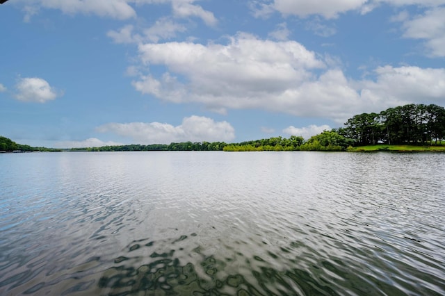 627 Eastbrook Rd, Estill Springs, TN 37330 - water view