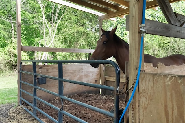 6685 Lynchburg Rd, Winchester, TN 37398 - view of horse barn