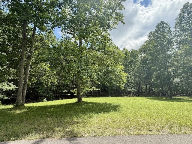 0 Shadow Rock Dr, Monteagle, TN 37356 - photo 2