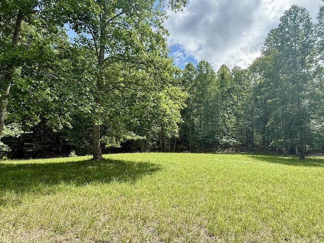0 Shadow Rock Dr, Monteagle, TN 37356 - photo 1