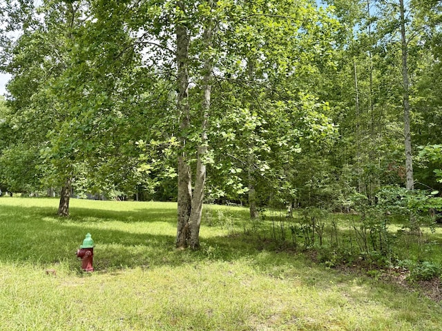 0 Shadow Rock Dr, Monteagle, TN 37356 - photo 6