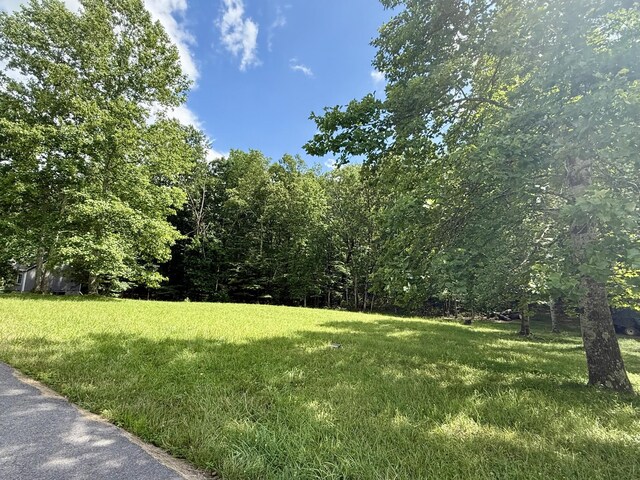0 Shadow Rock Dr, Monteagle, TN 37356 - photo 4
