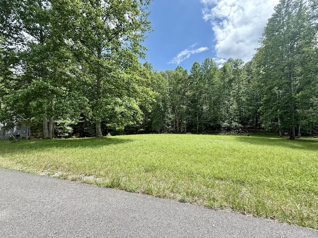 0 Shadow Rock Dr, Monteagle, TN 37356 - photo 5