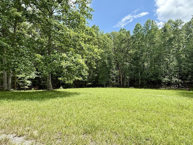 0 Shadow Rock Dr, Monteagle, TN 37356 - photo 3
