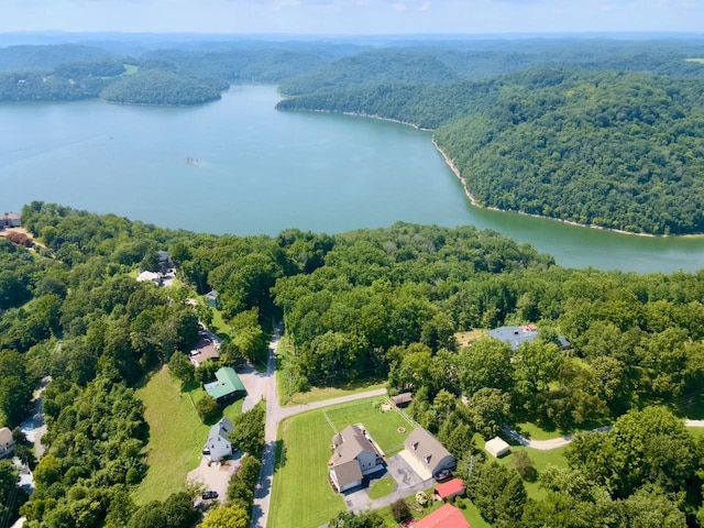 368 Blackberry Hill Rd, Silver Point, TN 38582 - photo 16