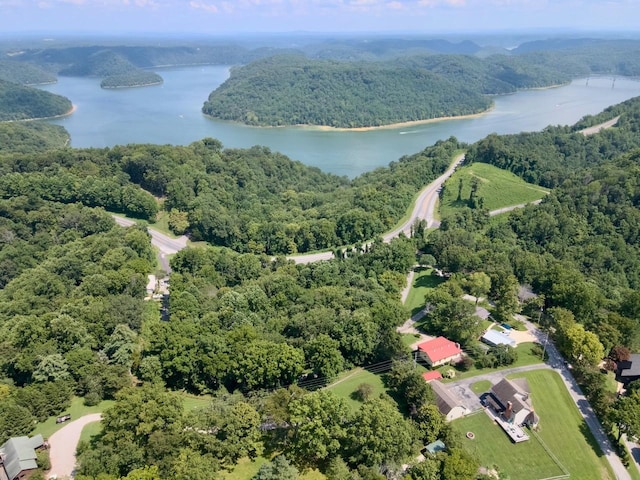 368 Blackberry Hill Rd, Silver Point, TN 38582 - photo 11