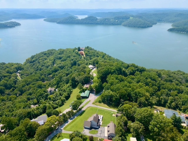 368 Blackberry Hill Rd, Silver Point, TN 38582 - photo 15
