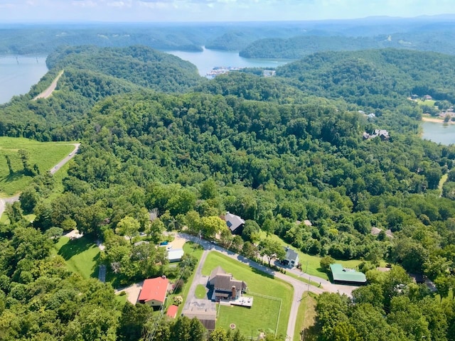 368 Blackberry Hill Rd, Silver Point, TN 38582 - photo 13