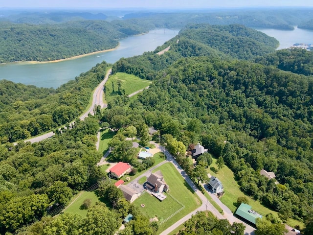 368 Blackberry Hill Rd, Silver Point, TN 38582 - photo 10