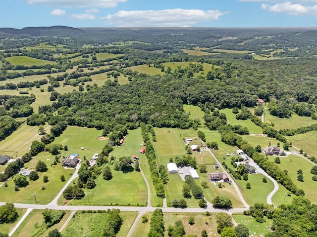 3720 SE Tater Peeler Rd, Lebanon, TN 37090 - photo 10