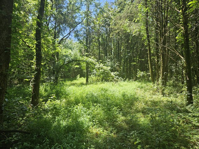 3720 SE Tater Peeler Rd, Lebanon, TN 37090 - photo 4
