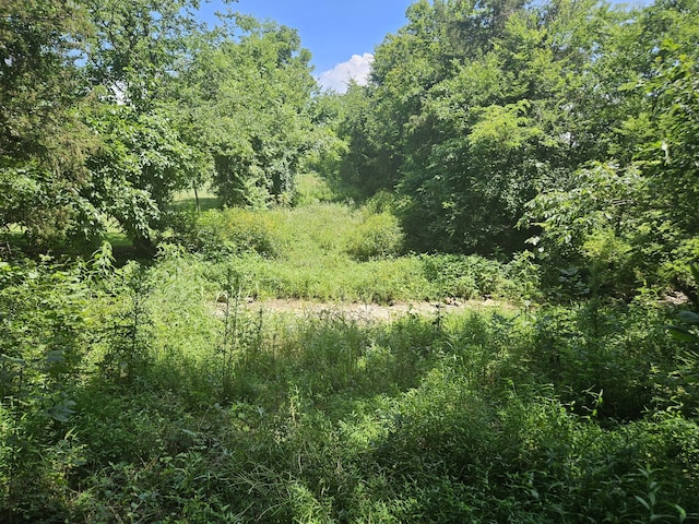 3720 SE Tater Peeler Rd, Lebanon, TN 37090 - photo 5