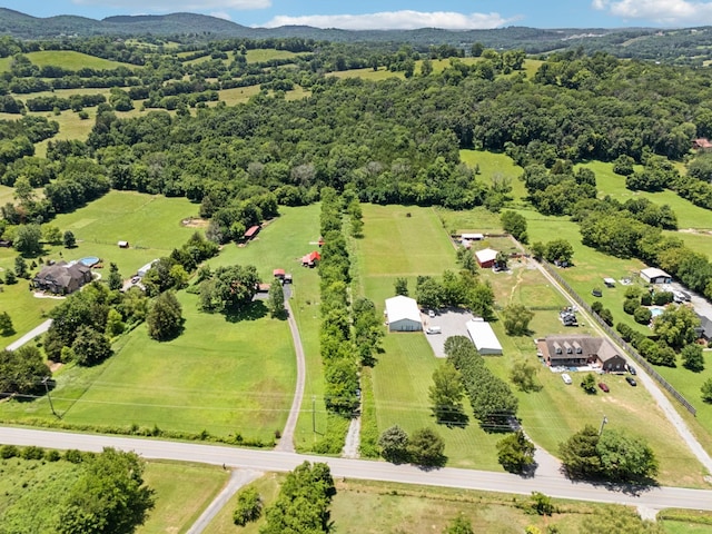 3720 SE Tater Peeler Rd, Lebanon, TN 37090 - photo 15
