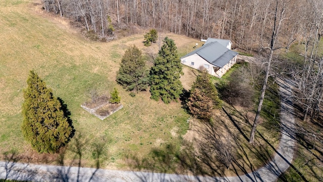 15 Clifton Rd, Lawrenceburg, TN 38464 - photo 41