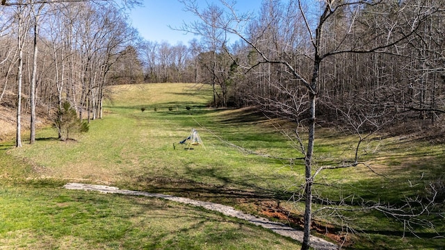 15 Clifton Rd, Lawrenceburg, TN 38464 - photo 31
