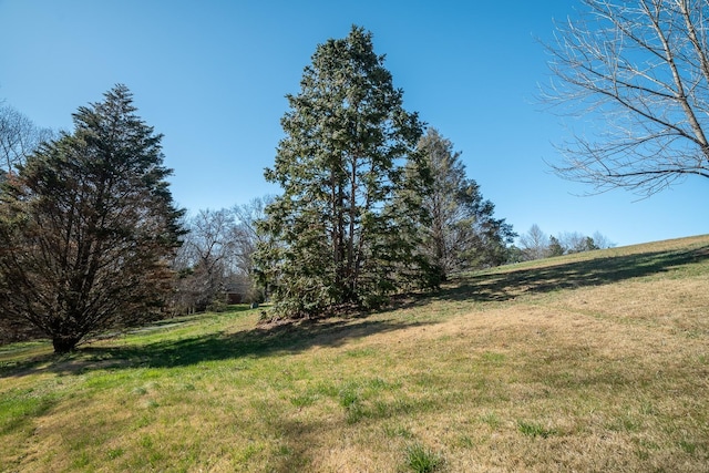 15 Clifton Rd, Lawrenceburg, TN 38464 - photo 5