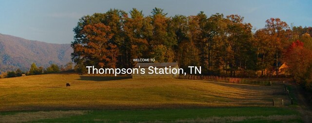2060 Conductor Ln, Thompsons Station, TN 37179 - photo 34
