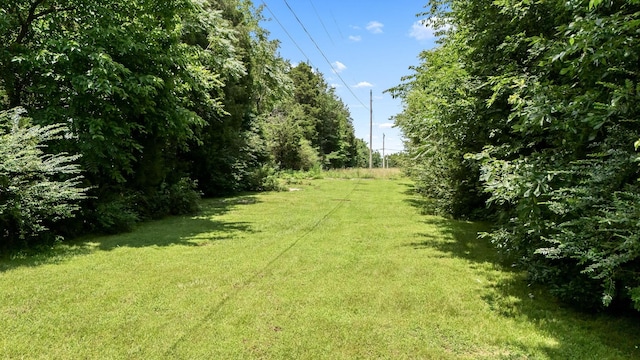 702 John Windrow Rd, Eagleville, TN 37060 - view of green lawn