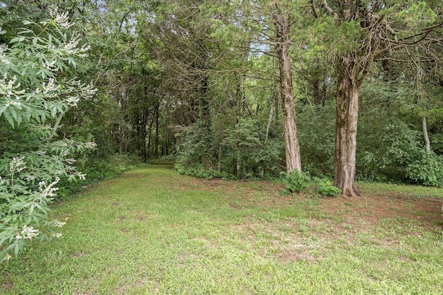 702 John Windrow Rd, Eagleville, TN 37060 - view of yard featuring a forest view