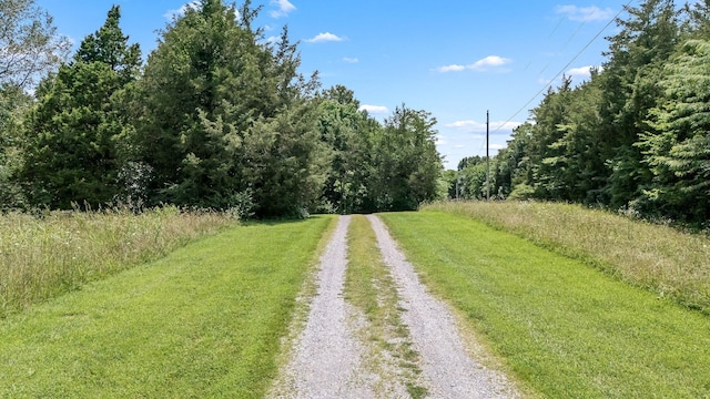 702 John Windrow Rd, Eagleville, TN 37060 - view of dirt / gravel road featuring a wooded view