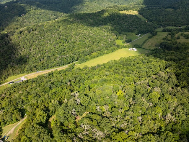 0 Hopkins Hollow Rd, Gainesboro, TN 38562 - photo 15
