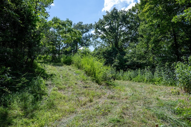 0 Hopkins Hollow Rd, Gainesboro, TN 38562 - photo 2