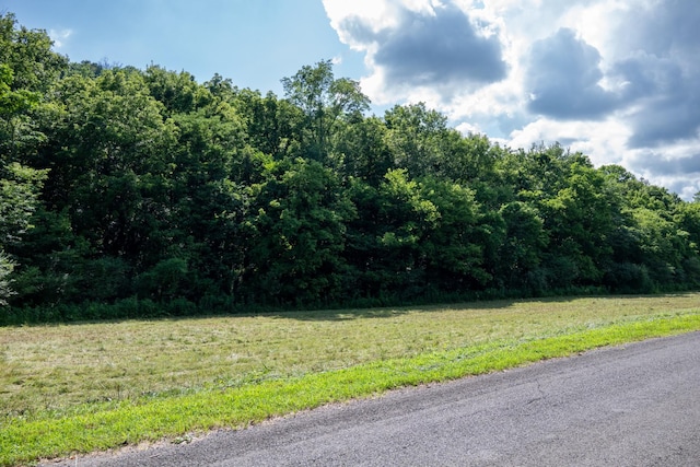 0 Hopkins Hollow Rd, Gainesboro, TN 38562 - photo 7