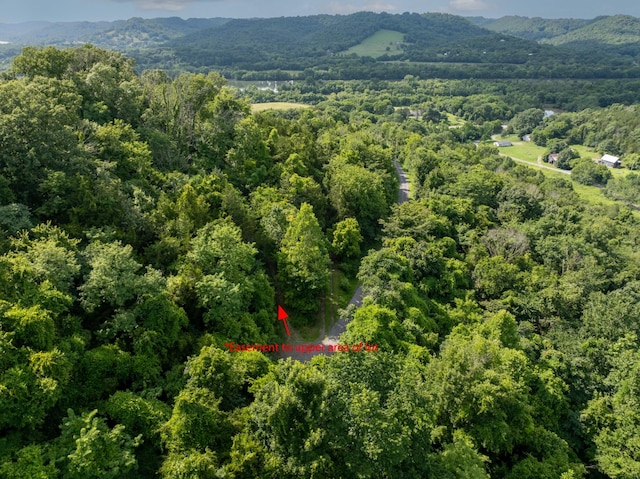 0 Hopkins Hollow Rd, Gainesboro, TN 38562 - photo 10