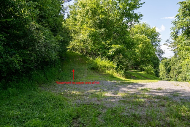 0 Hopkins Hollow Rd, Gainesboro, TN 38562 - photo 16