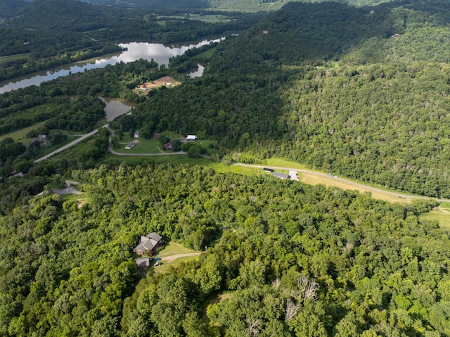 0 Hopkins Hollow Rd, Gainesboro, TN 38562 - photo 1