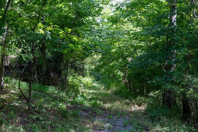 0 Hopkins Hollow Rd, Gainesboro, TN 38562 - photo 3