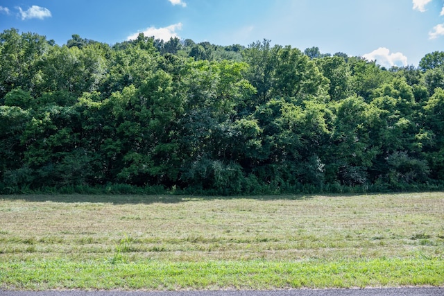 0 Hopkins Hollow Rd, Gainesboro, TN 38562 - photo 6